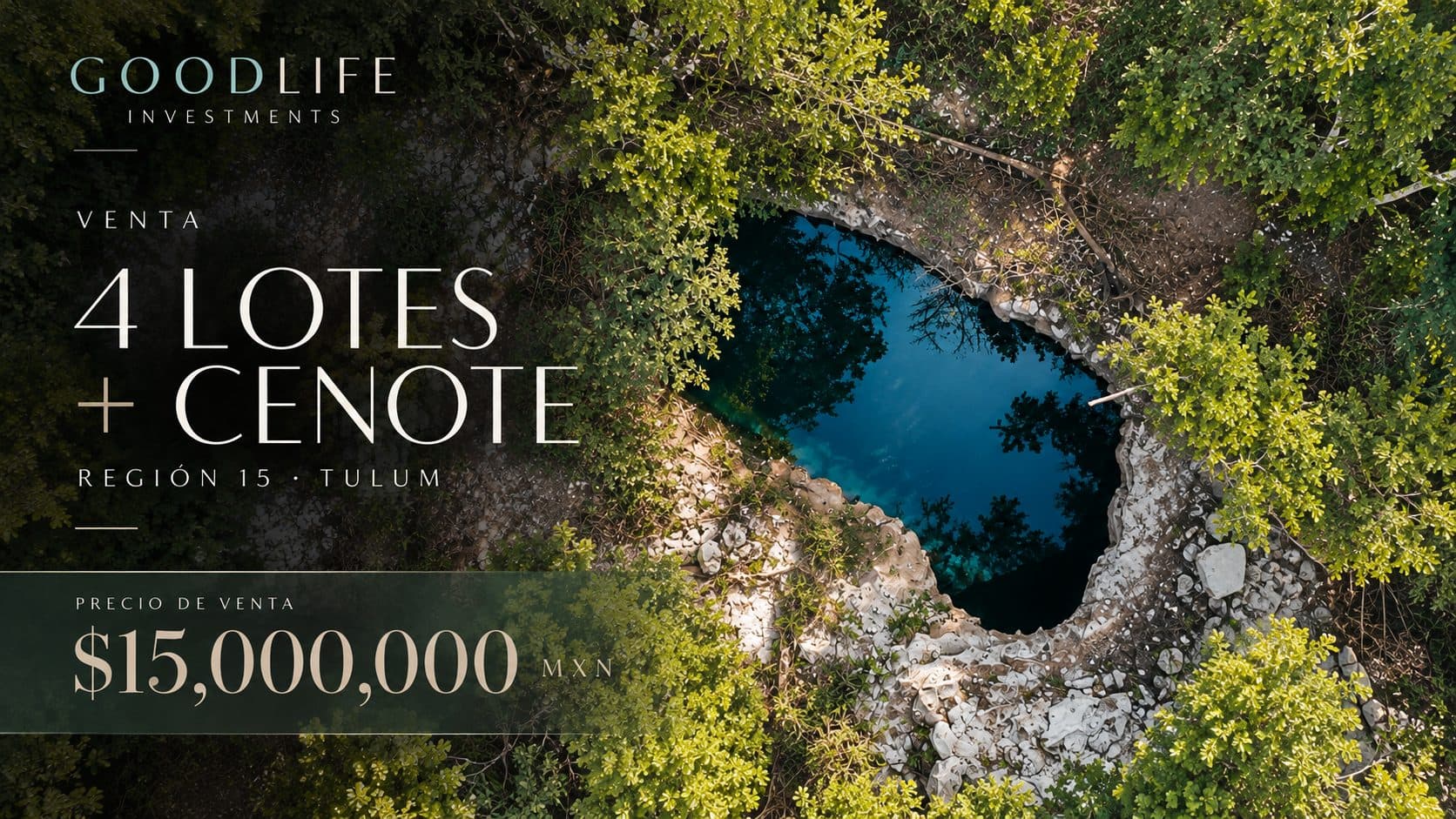 Un cenote natural dentro de cuatro lotes en Región 15.
