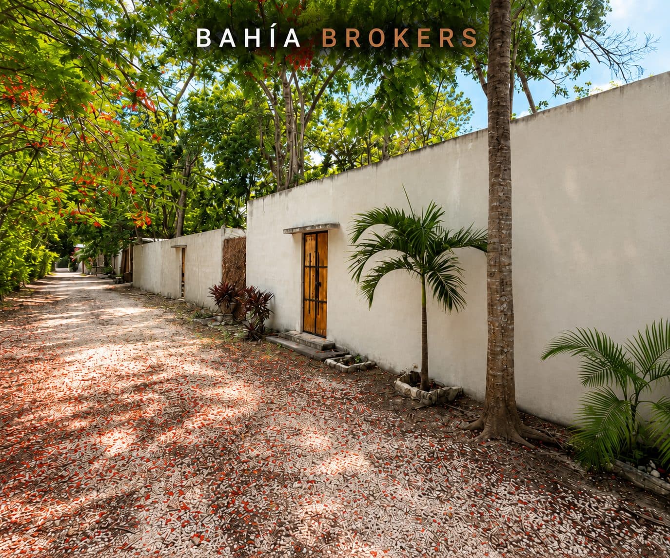 Lote en Tumbenkkah | Venta | Mixto coemrcial