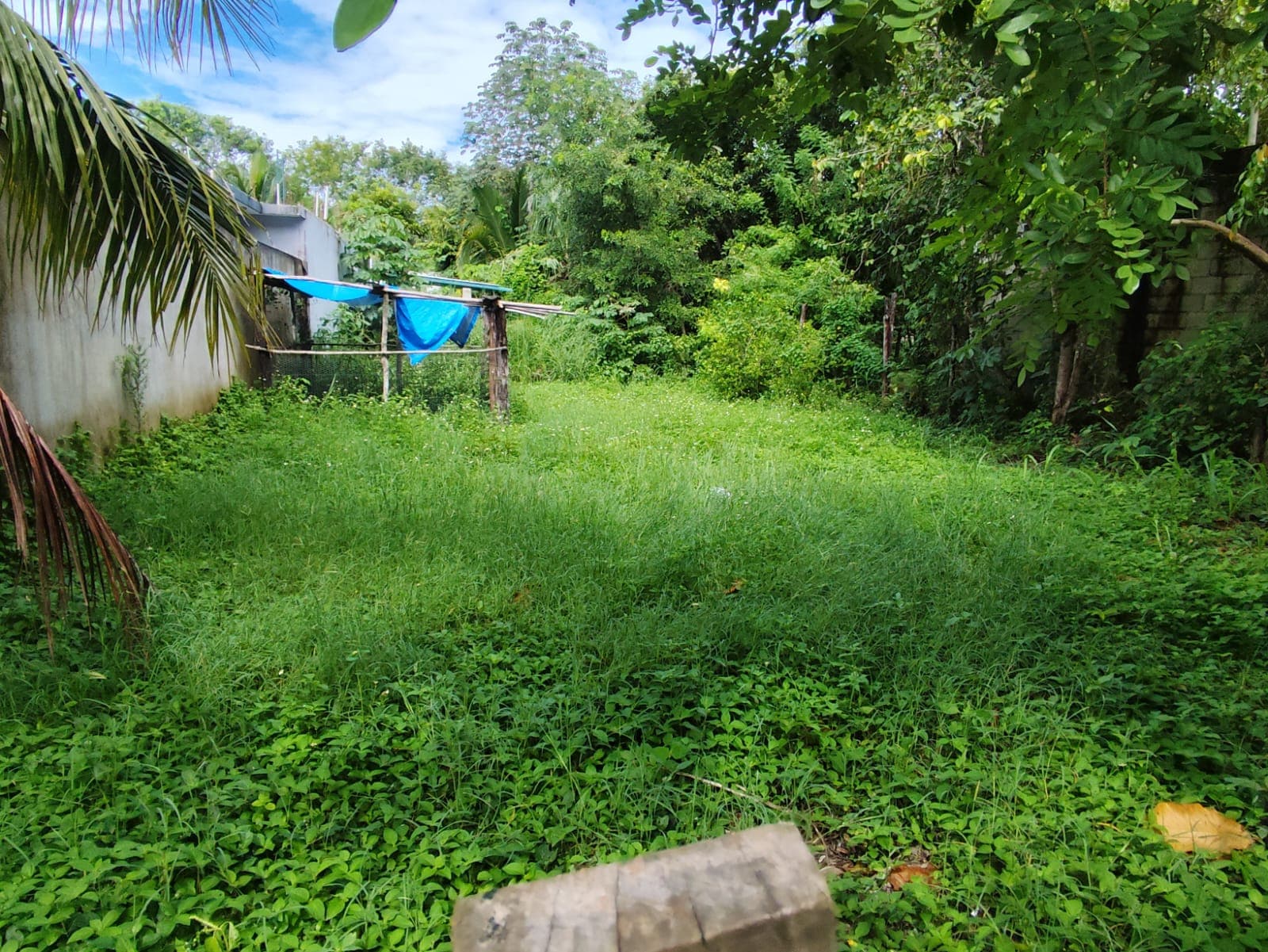 TERRENO EN BACALAR LISTO PARA CONSTRUIR ESCRITURADO SOBRE CALLE30 A